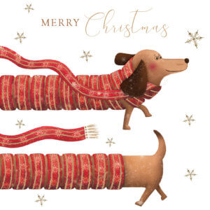 Festive dachshund