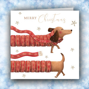 Festive Dachsund - pack of 10 Christmas cards